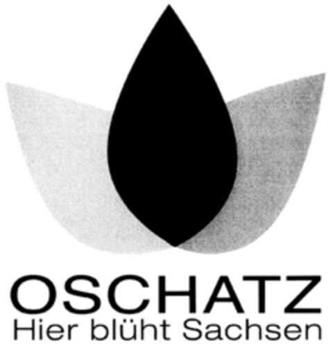OSCHATZ Hier blüht Sachsen Logo (DPMA, 04.07.2002)