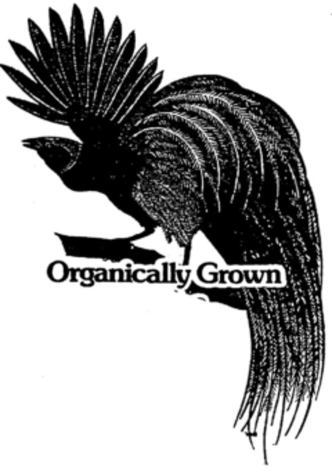 Organically Grown Logo (DPMA, 12/27/1990)