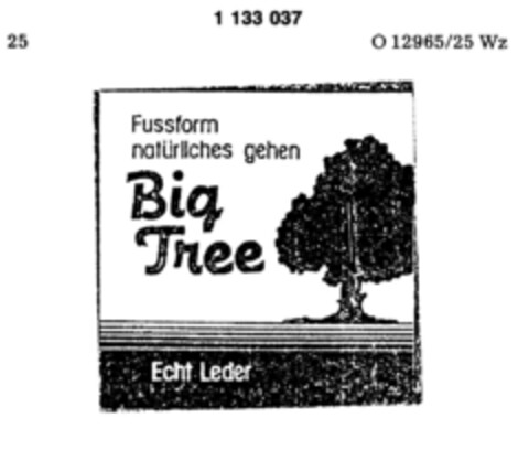 Fussform natürliches gehen Big Tree Echt Leder Logo (DPMA, 02.07.1987)