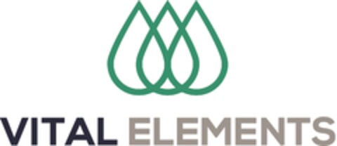 VITAL ELEMENTS Logo (DPMA, 13.01.2021)