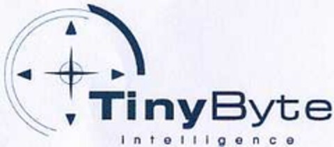 TinyByte Intelligence Logo (DPMA, 02/21/2003)
