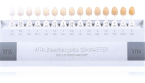 VITA Bleachedguide 3D-MASTER VITA SYSTEM 3D-MASTER Logo (DPMA, 10.03.2007)