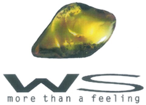 ws more than a feeling Logo (DPMA, 05/12/2011)