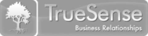 TrueSense Business Relationships Logo (DPMA, 02/20/2013)