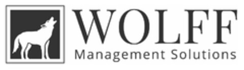 WOLFF Management Solutions Logo (DPMA, 02/24/2021)