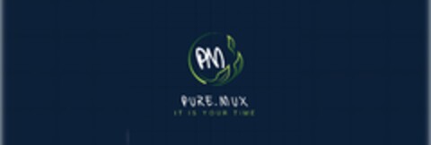 PM PURE.MUX IT IS YOUR TIME Logo (DPMA, 09/09/2024)