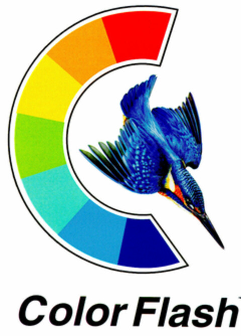 ColorFlash Logo (DPMA, 12.06.1999)