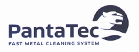 PantaTec FAST METAL CLEANING SYSTEM Logo (DPMA, 08.06.2010)