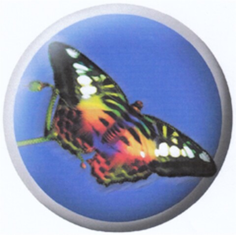 302008073004 Logo (DPMA, 11/20/2008)