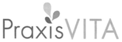 Praxis VITA Logo (DPMA, 19.12.2013)