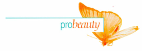 pro beauty Logo (DPMA, 28.12.2001)