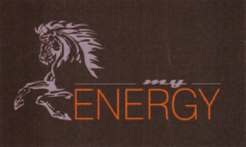 my ENERGY Logo (DPMA, 11/02/2010)