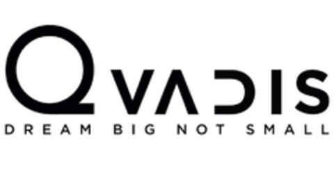 QVADIS DREAM BIG NOT SMALL Logo (DPMA, 16.07.2015)