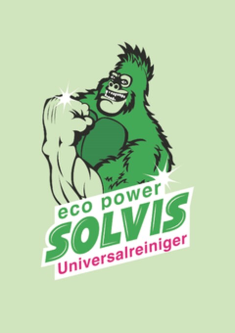 eco power SOLVIS Universalreiniger Logo (DPMA, 01/06/2021)