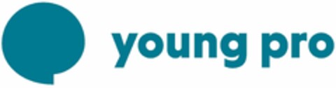 young pro Logo (DPMA, 03/07/2022)