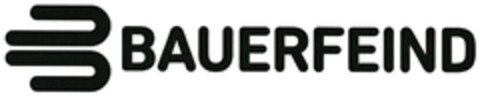 BAUERFEIND Logo (DPMA, 01/21/2025)