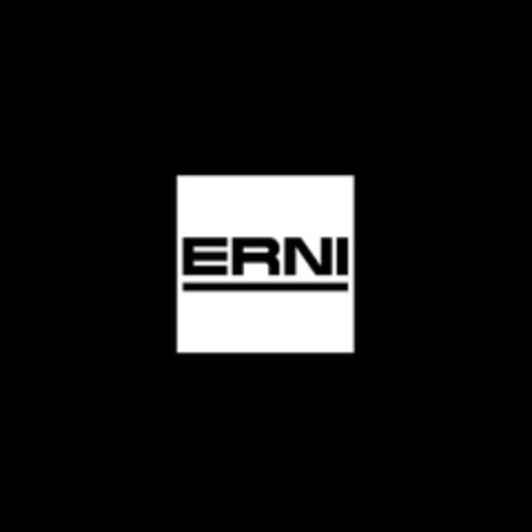 ERNI Logo (DPMA, 31.10.2014)