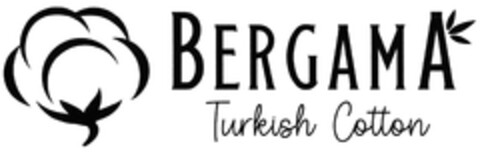 BERGAMA Turkish Cotton Logo (DPMA, 26.07.2023)