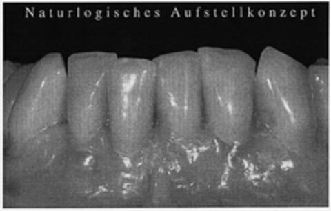 Naturlogisches Aufstellkonzept Logo (DPMA, 06/04/2002)