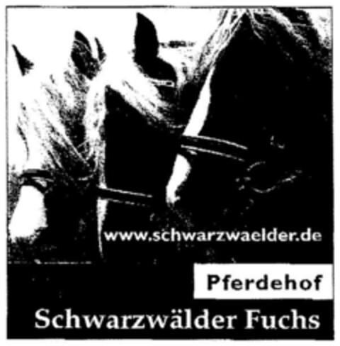 Schwarzwälder Fuchs Pferdehof Logo (DPMA, 29.06.2000)