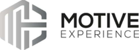 MOTIVE EXPERIENCE Logo (DPMA, 07/01/2025)