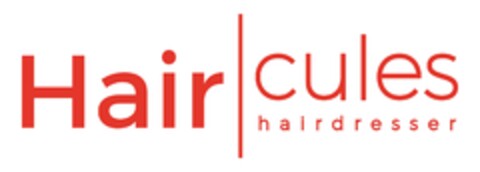 Hair cules hairdresser Logo (DPMA, 05/17/2021)