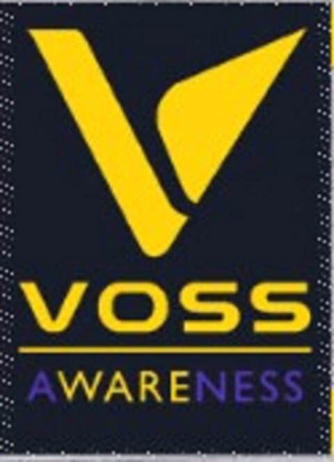 VOSS AWARENESS Logo (DPMA, 25.06.2025)