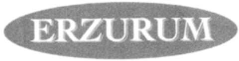 ERZURUM Logo (DPMA, 12.03.1997)