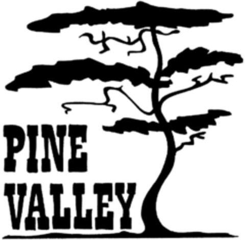 PINE VALLEY Logo (DPMA, 09.10.1992)