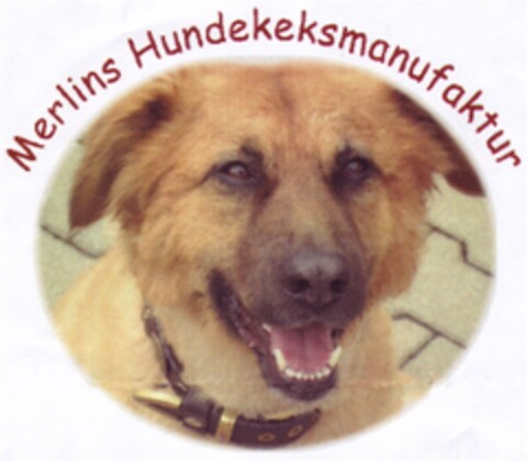 Merlins Hundekeksmanufaktur Logo (DPMA, 01.09.2008)