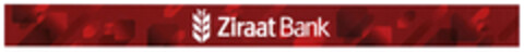 Ziraat Bank Logo (DPMA, 11/16/2020)