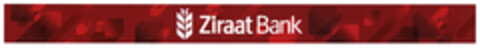 Ziraat Bank Logo (DPMA, 16.11.2020)