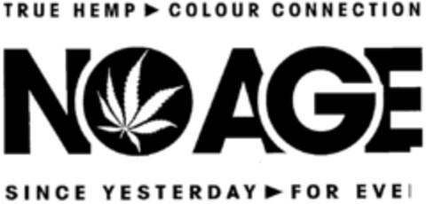 TRUE HEMP COLOUR CONNECTION NO AGE SINCE YESTERDAY FOR EVER Logo (DPMA, 21.07.1997)