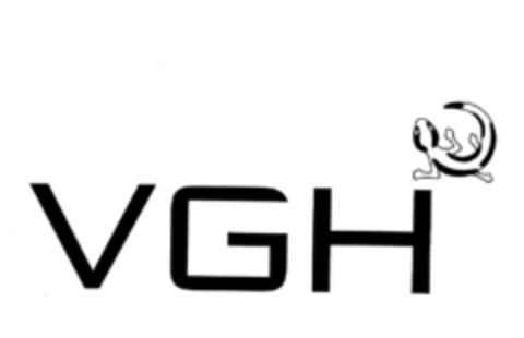 VGH Logo (DPMA, 26.11.2008)