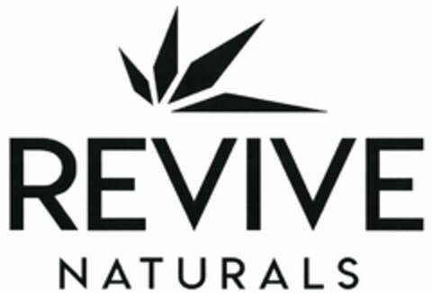 REVIVE NATURALS Logo (DPMA, 13.04.2018)