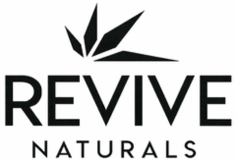 REVIVE NATURALS Logo (DPMA, 04/13/2018)