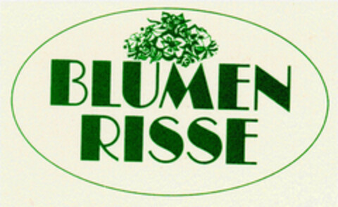 BLUMEN RISSE Logo (DPMA, 19.02.1999)