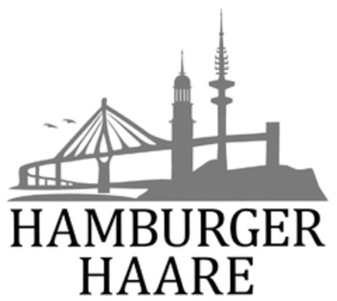 HAMBURGER HAARE Logo (DPMA, 12/04/2010)