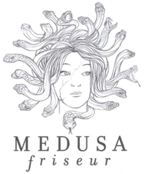 MEDUSA friseur Logo (DPMA, 02/23/2013)