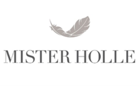 MISTER HOLLE Logo (DPMA, 21.10.2016)