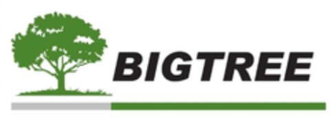 BIGTREE Logo (DPMA, 27.11.2017)