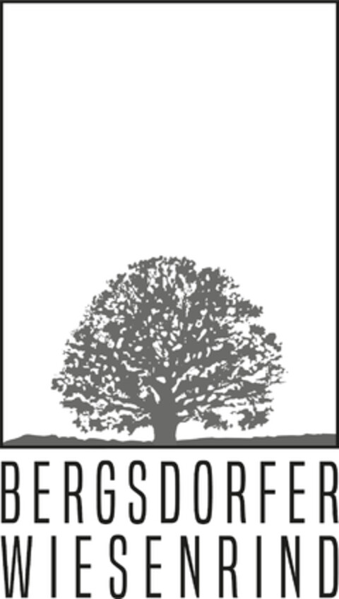 BERGSDORFER WIESENRIND Logo (DPMA, 14.08.2020)