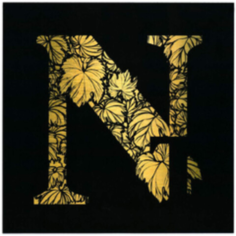 NT Logo (DPMA, 18.06.2021)