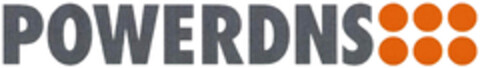 POWERDNS Logo (DPMA, 03/25/2024)