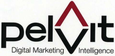 pelvit Digital Marketing Intelligence Logo (DPMA, 03/06/2006)