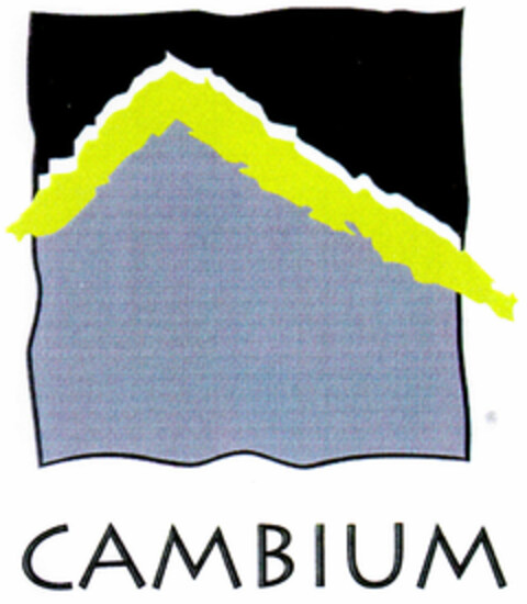 CAMBIUM Logo (DPMA, 18.05.2000)