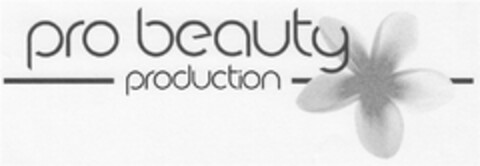 pro beauty production Logo (DPMA, 02/28/2014)