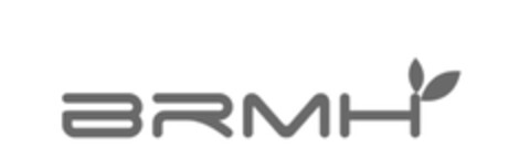 BRMH Logo (DPMA, 05.09.2017)