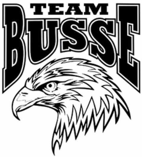 TEAM BUSSE Logo (DPMA, 17.11.2020)