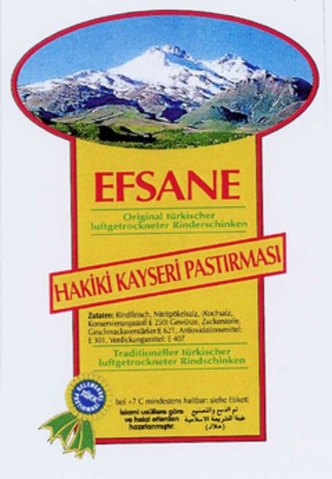 EFSANE Logo (DPMA, 22.05.2002)